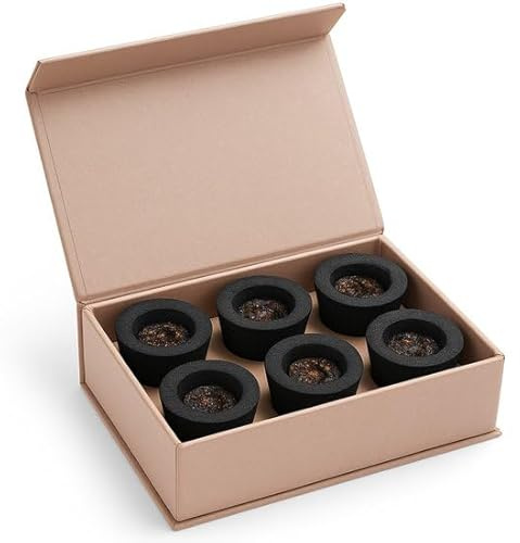 Goloka Sacred Sandalwood Incense Charcoal Cup con 5 g di resina di incenso, 1 confezione da 6 ciotole di incenso, resina naturale per meditazione, yoga, cerimonie e rilassante con adesivi Kajal
