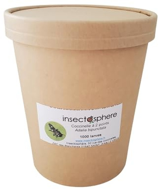 Larves de coccinelle à 2 points contre les pucerons des arbres frutiers & ornementaux, pucerons des rosiers et autres arbustes. (1000 Larves)