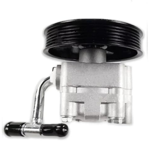 Pompa servo idraulica Per NISSAN Per ELGRAND E51 NE51 VQ35 6PK 49110-WL000 49110-WL005 49110WL000 49110WL005 Pompa Servosterzo
