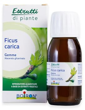 Estratti di Piante Ficus Carica - Macerato Glicerinato di Gemme 60 ml