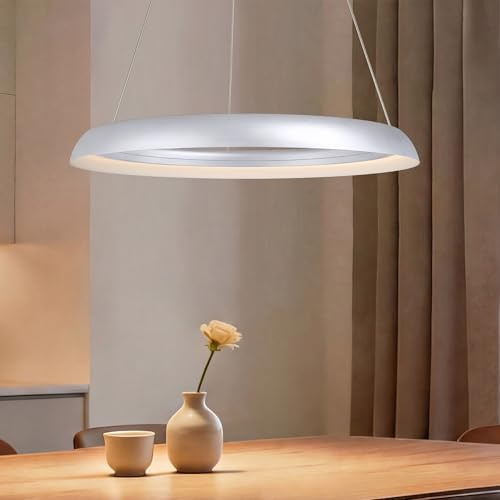 doporro LED Pendelleuchte Luvina04,mit App & Fernbedienung,60cm,Matt Silber | 60cm,Dimmbare,3000–6000K,CRI≥95,höhenverstellbar,Esstisch & Wohnraum