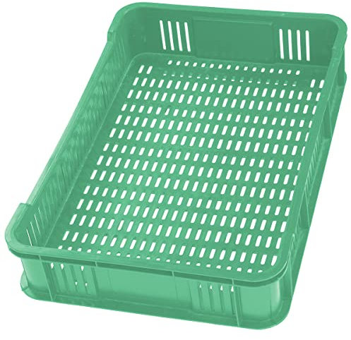 HaGa Scatola di immagazzinaggio, 59 x 39,5 x 11 cm, verde, 10 kg, impilabile, in plastica, per mele, per frutta e verdura