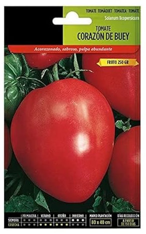 Semillas de Tomate Corazón Buey para Cultivar Verduras y Hortalizas Comestibles en Casa