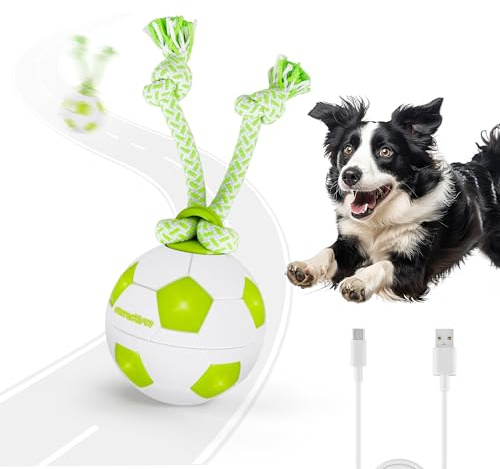 ALL FOR PAWS Interaktives Hundespielzeug Hunde Ball, Langlebiger Bewegungsaktivierter Automatischer Rollball für Kleine/Mittlere/Große Hunde, USB-Aufladbar