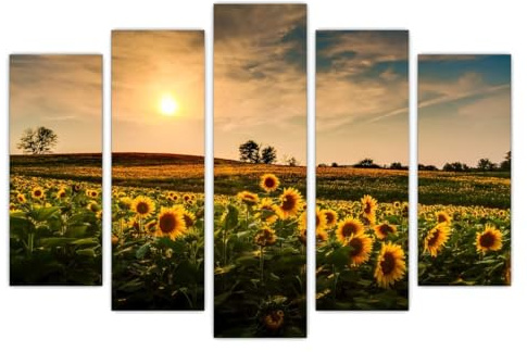 AREDE Set di 5 Stampe da Parete Quadri Moderni Decorazioni da Muro per Casa Soggiorno Camera da Letto e Cucina Tramonto di girasoli| 120 x 80 cm | Pronto da appendere