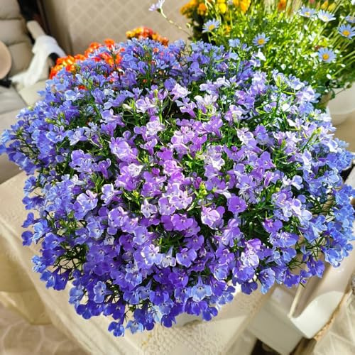Semi di Lobelia, Lobelia chinensis, per luoghi soleggiati decorazione del giardino per esterno decorazione del soggiorno resistenti all'esterno 300pcs