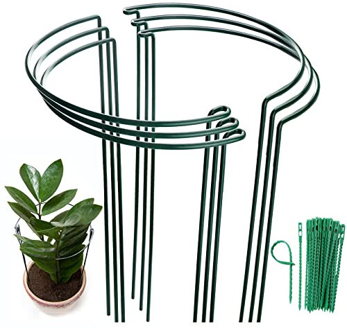 MUAEEOK 6 Pack 30x50cm Plant Support Stakes, Metal Garden Plant Stake, Outdoor Tall Plant Support Ring Cage,Large Plant Supports for Tomato,Vegetable, Rose,Flowers Vine (30x50cm)