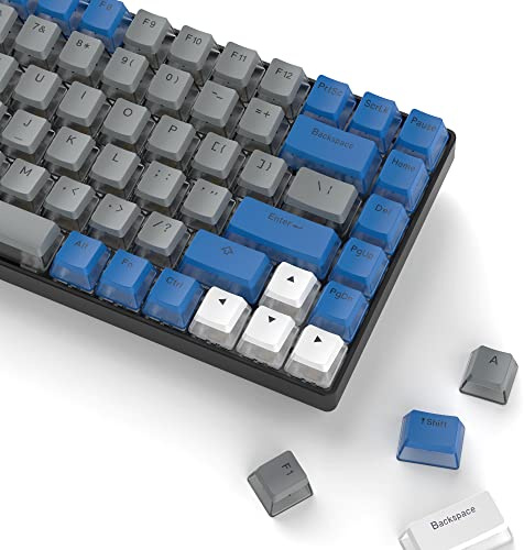 Womier PBT Pudding Keycaps- Shine Through Keycaps | 164 Keys Keycap Set 60 65 75 100 Percent, OEM Profile for Custom Cherry Gateron MX Switches Mechanical Keyboard, Blue
