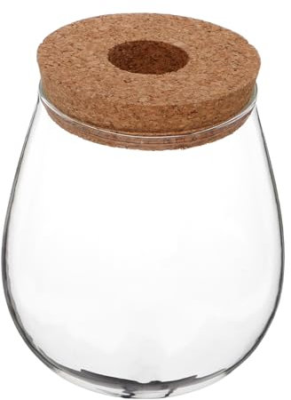 INOOMP Vaso Di Idroponico Creativo Trasparente Elegante Terrario Per Piante e Stazione Di Propagazione Per Desktop Per Decorazioni Verdi e Delle Piante