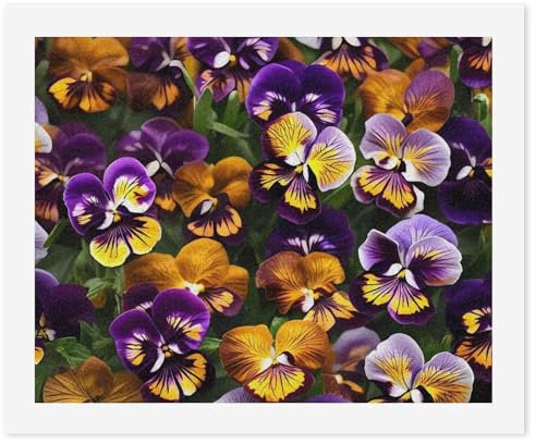 STVNKML Paint by Numbers Kit for Adults Beginners, DIY Adult Paint by Number Kits on Canvas, Pansy Perfection Digital Oil Number Painting Kits for Home Decor Gift 40x50cm