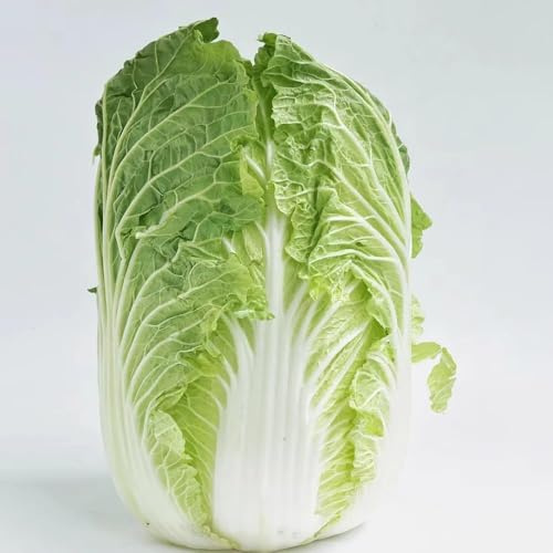 pak choi - semi letti elevati per giardino semi di varietà antiche giardino balcone interni balcone 400pcs