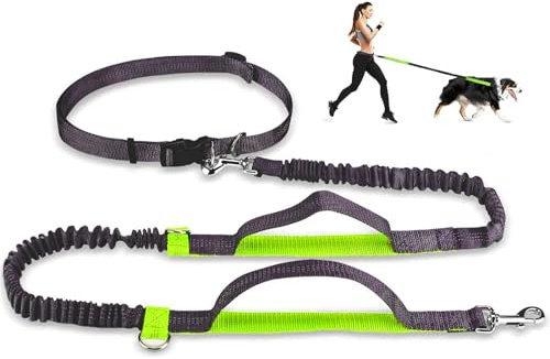 Pecco Dog Walking Belt, Adjustable Weather Resistant Nylon Leash with Dual Bungees, Reflective Tape, for Dogs up to 50kg, Fluorescent Green