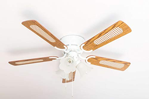 Pepeo GmbH Ventilador de techo Kisa Deluxe 105 cm ala blanca de roble/nogal incluyendo la iluminación y el interruptor de arranque