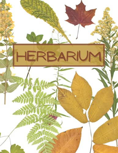 Herbarium: Logbuch zum sammeln von getrockneten blättern und blüten