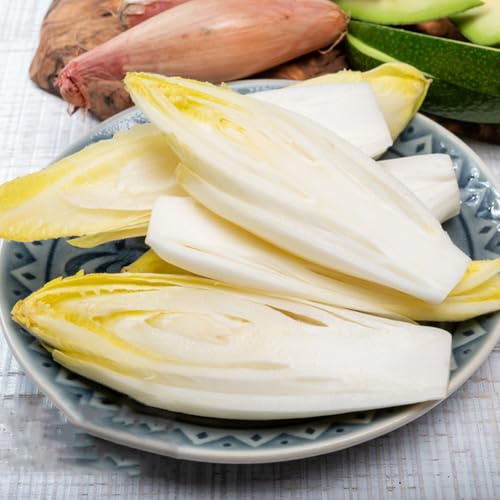 semillas de achicoria, orgánicas. balcón, cobertura del suelo, jardín. 50pcs