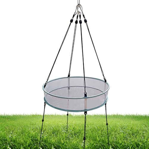 para pájaros al Aire Libre | Bandeja Comida Colibríes Malla 50 Cm | Distribuidor Aves Silvestres Colgado Antivent | para la Observación de Pinzones y Colibríes en El