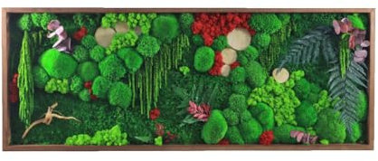 HelloMoss Moosbild, Moosrahmen, Mooswandkunst, Gepresster Blumenrahmen, Wald an Ihrer Wand, Mooskunst, Lebendige Moosdekoration, Grüne Wandkunst, Wanddekoration, Essenz (Braun, 70x40 cm)