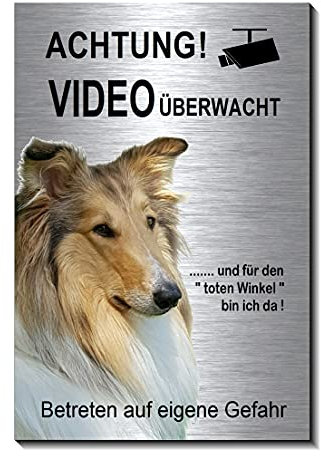 Collie-Video-Überwachung-Hund-15 x 10 cm-Schild-Hundeschild-Aluminium Edelstahloptik-Hunde-Tierschild-Warnschild-Hinweisschild (1905-97 mit Klebepads)
