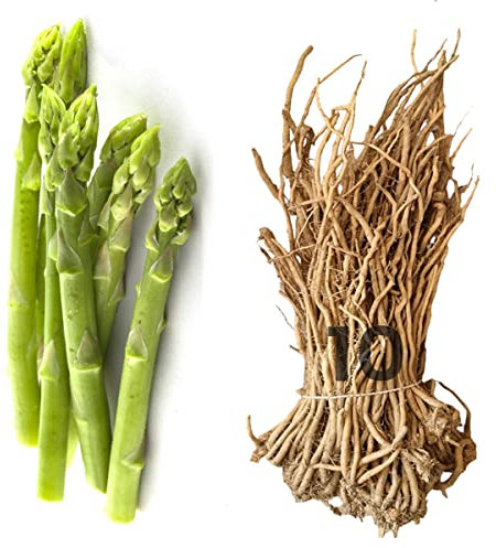 Asparago Piemontese Argenteuil | 10 zampe selezionate