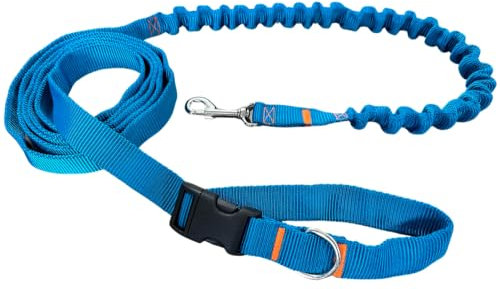 Hundeleine mit Ruckdämpfer, 280cm Verstellbar, Freihändig Jogging-Leine mit Hüftgurt – Sportliche Hunde-Leine für Laufen und Wandern (Türkis)