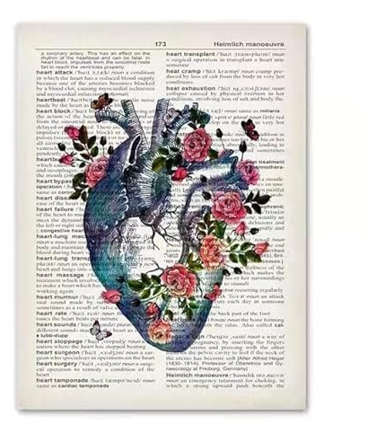 Supkancl Poster con Stampa nordica Anatomia Organi Umani Cuore Cervello Wall Art Canvas Painting Immagini da Parete Vintage for Decorazioni for cliniche mediche(B,20X25cm No Frame)