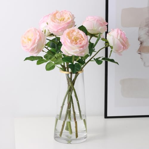 Angel Isabella Pack of 6-17 Premium Real Touch English Austin Cabbage Rose Stem (Baby Pink)