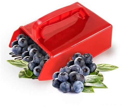 Peine recogedor de bayas, recogedor de rastrillo de arándanos plasstic, recolector de recolección de fruta, recogedor de bayas de mano, cosechador de frutas para recoger frambuesas, moras, grosellas