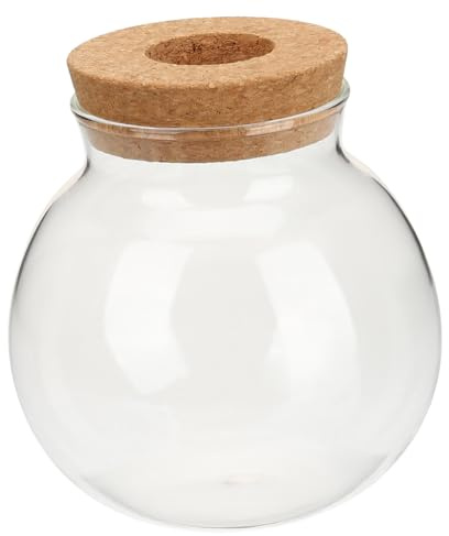 WEKADRIN Hydroponik Vase aus Glas mit Holztablett Kreatives Pflanzenterrarium für Wasserblumen und Hydroponische Pflanzen Dekorativ für Schreibtisch und Bücherregal