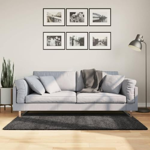 Runheo Teppich Shaggy Hochflor Anthrazit 120x170 cm, 30 mm Florhöhe, 1500 g/m² Polypropylen Läufer Vorleger für Wohnzimmer Schlafzimmer Flur Fußbodenheizung