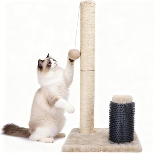 Nobleza Rascador para Gatos de 60cm, Poste Rascador con Cuerda de Sisal Natural, Masajeador de Silicona y Juguete de Bola Colgante, Base Estable, Color Beige