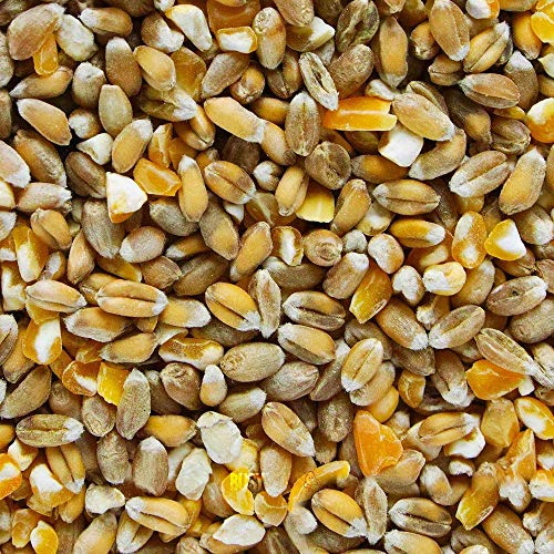 BusyBeaks Mixed Poultry Corn | Premium Quality Natural Seed Feed Mix | Rich in Vitamins and Calcium | Great Chicken Duck Geese Food | Helps Develop Strong Beaks Tough Bones & Healthy Feathers (25kg)