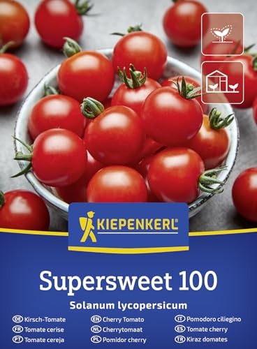 Kiepenkerl Kirsch-Tomatensamen Supersweet 100 F1 50918, Gemüsesaat | Süße rote Snacktomaten mit intensivem Aroma, Kirschtomatensamen, für Freiland, Gewächshaus & Topf