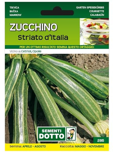 Sicignano | Semi Zucchino Striato d'Italia, Frutto Allungato 22-25 cm, Marezzato Verde e Arancione, Busta Extra - 4 Confezioni da 4.3g, Pianta a Ciclo Precoce