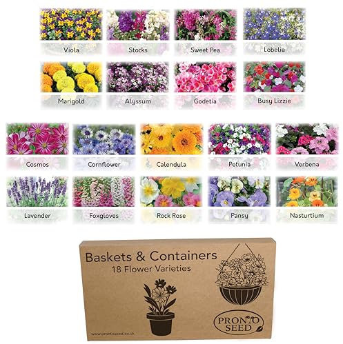 Pronto Seed Basket & Container Bumper Seeds Pack - Grow Your Own Kit with 18 Flower Varieties - Perfect for Baskets, Containers & Window Boxes - Gardening Gifts Women Men (Basket & Container Pack)