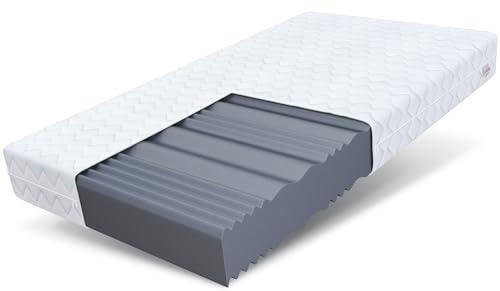 FDM Comfort Plus Schaumstoffmatratze 90x200 cm Höhe 24 cm 7-Liegezonen Matratze Kaltschaum H3 Öko-Tex Allergikergeeignet Bezug Waschbar Abnehmbar Weiß
