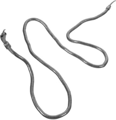 Hohopeti Schlangenhalsband Biegsame Schlangenkette Punk-stil Choker-halskette Zarter Halsschmuck Schlangenarmband Individuell Anpassbar Halskettenschmuck Hochwertige Legierung
