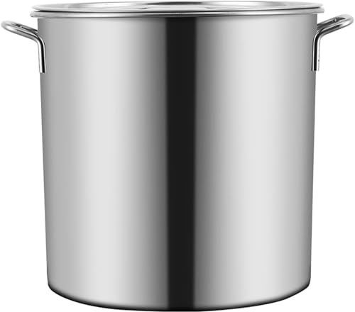 Olla profesional de acero inoxidable de 20 L, apta para inducción, olla grande con tapa, versátil para todas las fuentes de calor, 30 cm, perfecta para chefs caseros y preparación de comidas