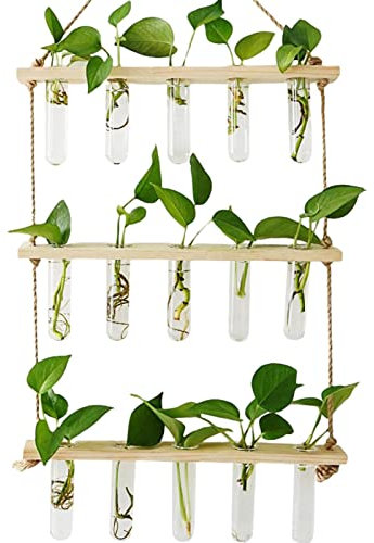 Förökningsstation för växter, 3 våningar, vägghängande, planteringskruka, terrarium med trästativ, glaskruka, provglas, blom för hydrokulturväxt, heminredning