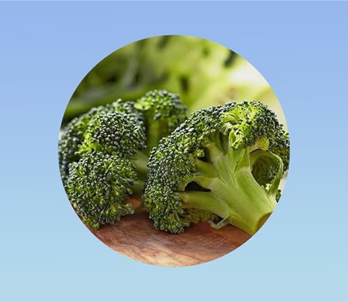 300 Graines de Chou Brocoli Calabrais - Très facile à Cultiver - Récolte Généreuse