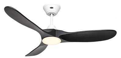 CasaFan Ventilateur de plafond 312272 Eco GENUINO-L avec lumière 122 cm pales noir mat moteur blanc