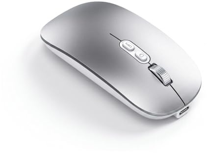 JZK Souris sans Fil, Triple Mode BT 5.1 et 2,4 GHz USB Bluetooth, Souris USB-C Rechargeable à clics Silencieux avec indicateur de Batterie pour MacBook, pour iPad, Ordinateur Portable, PC (Argent)