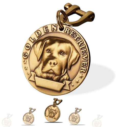 FYANER Hundemarken Personalisiert - Labrador Retriever, Messing ⌀35-40mm