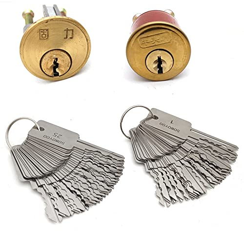 QiDAi Lot de 48 clés maîtres multi-outils pour crochetage de serrure, en acier inoxydable, 48 clés de verrouillage de porte pour la maison, serrurier