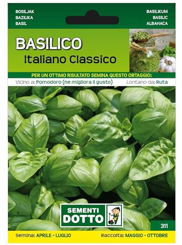 Sicignano | Semi Basilico Italiano Classico, Foglie Lisce Medio Grandi, Pianta Aromatica Rigogliosa, Busta Extra - 2 Confezioni da 3.5g, Ciclo Medio-Precoce, Raccolto da Maggio a Ottobre