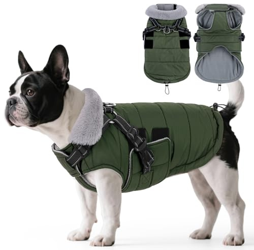ASENKU Cappotto Cane Invernale Impermeabile, Cappottino per Cani per Cani di Piccola Taglia, Media e Grande,Giacca per cani Antivento Riflettente con imbracatura S
