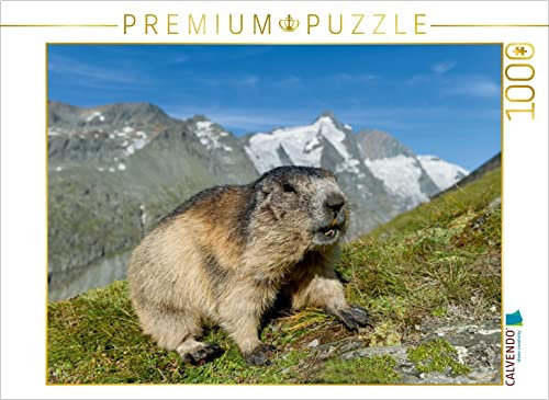CALVENDO Puzzle Murmel mit Großglockner 1000 Teile Lege-Größe 64 x 48 cm Foto-Puzzle Bild von Alfred Trunk
