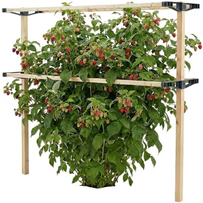 Gusta Garden Berry Buddy Tuteur flexible pour baies : framboises, mûres et myrtilles, extensible, fabriqué dans l'UE, treillis en bois (120 cm)