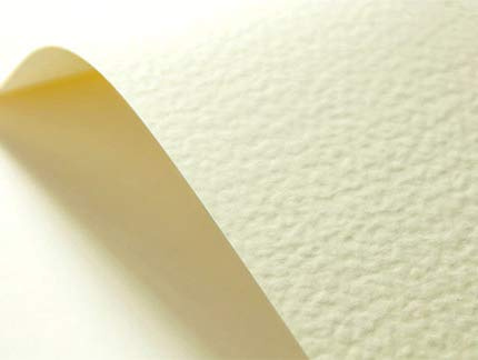 Netuno 20x cartoncino goffrato avorioge martello formato A4 21 x 29,7 cm 246g carta strutturata goffrata per biglietti visita auguri partecipazioni inviti matrimonio compleanno carta textured