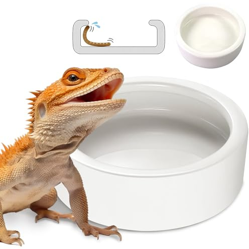 Ciotola per rettili in ceramica, per vermi della farina e cricket, per geco, drago barbuto e camaleonte, XL (12,7 cm), mangiatoia anti-fuga