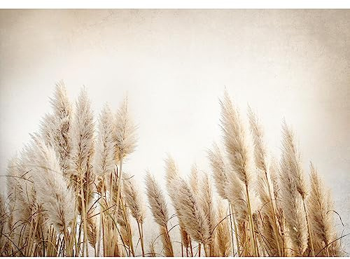 Runa Art Papier peint intissé 396 x 280 cm Boho Herbe de la pampa - Toison Décoration Murale Salon Chambre á Coucherr - Fabrication Allemande - Beige 9583012a